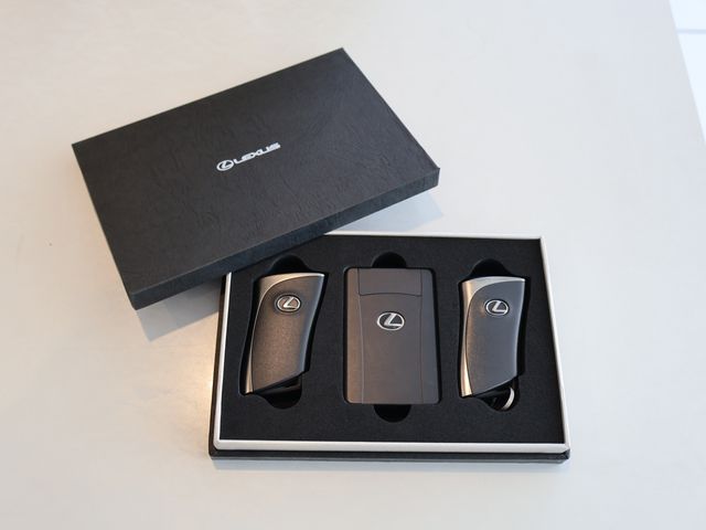 TOYOTA LEXUS NX350H AWD 2023 Image 31