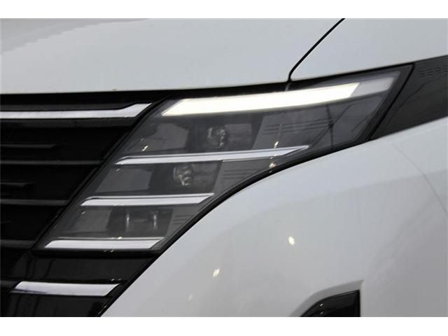 NISSAN SERENA  WG 2024 Image 31