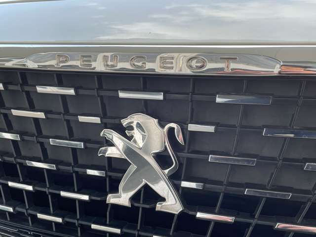PEUGEOT 3008 2021 Image 31