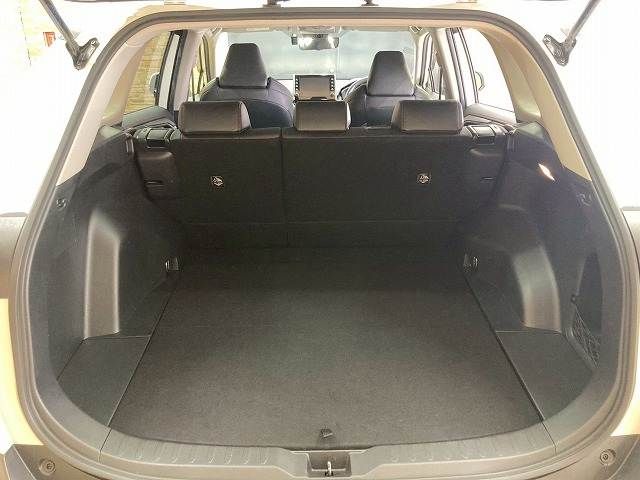 TOYOTA RAV4 4WD 2021 Image 31