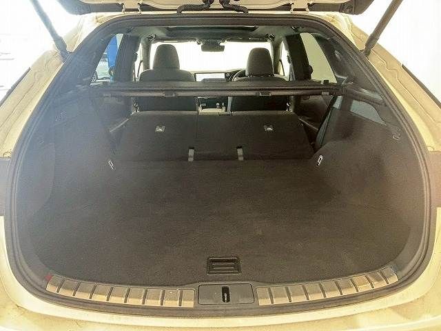 TOYOTA LEXUS RX350H 2023 Image 31