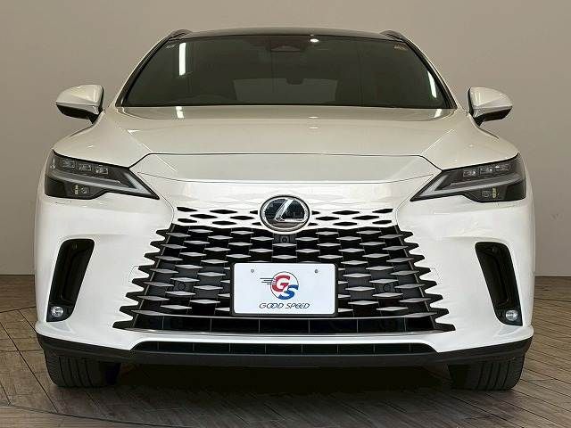 TOYOTA LEXUS RX350H 2023 Image 31