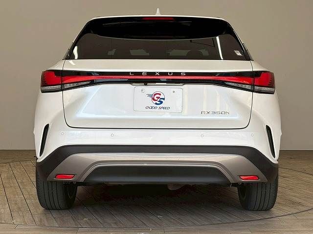 TOYOTA LEXUS RX350H 2023 Image 31