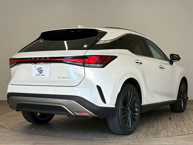 TOYOTA LEXUS RX350H 2023 Image 31