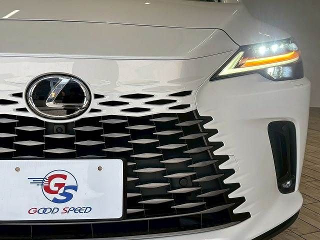TOYOTA LEXUS RX350H 2023 Image 31