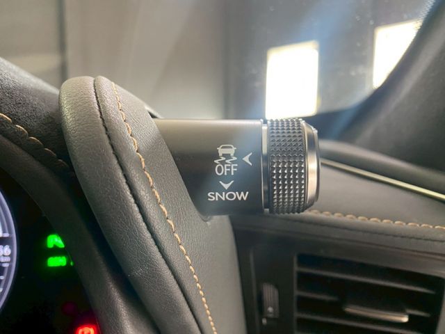 TOYOTA LEXUS LC500 2021 Image 31