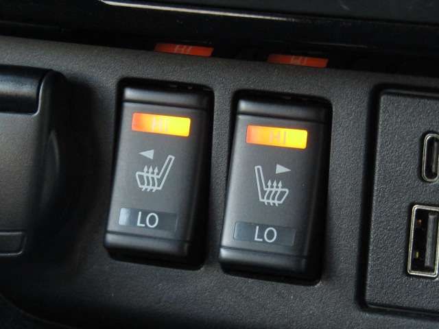 NISSAN LEAF 2021 Image 31