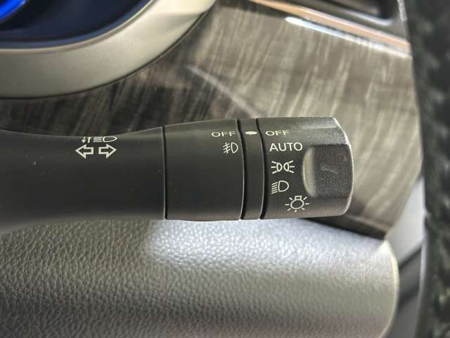NISSAN ELGRAND 2014 Image 31