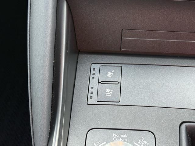 TOYOTA LEXUS IS300H 2023 Image 31