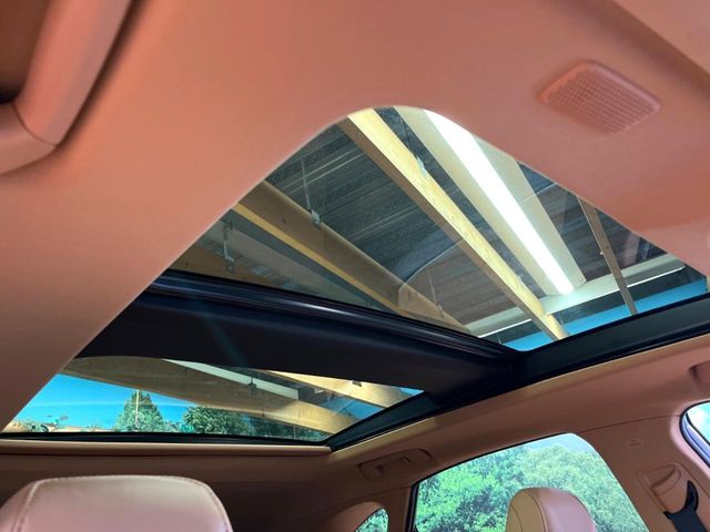 TOYOTA LEXUS NX350H 2023 Image 31