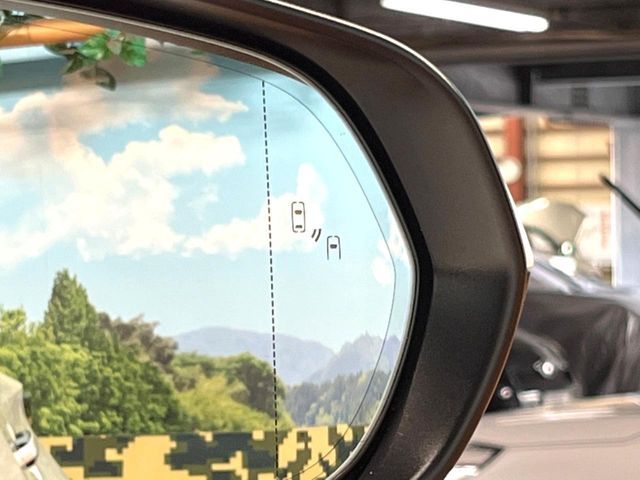 TOYOTA LEXUS NX350H 2023 Image 31