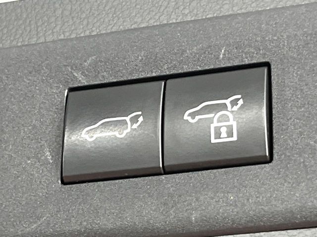 TOYOTA LEXUS NX350H 2023 Image 31