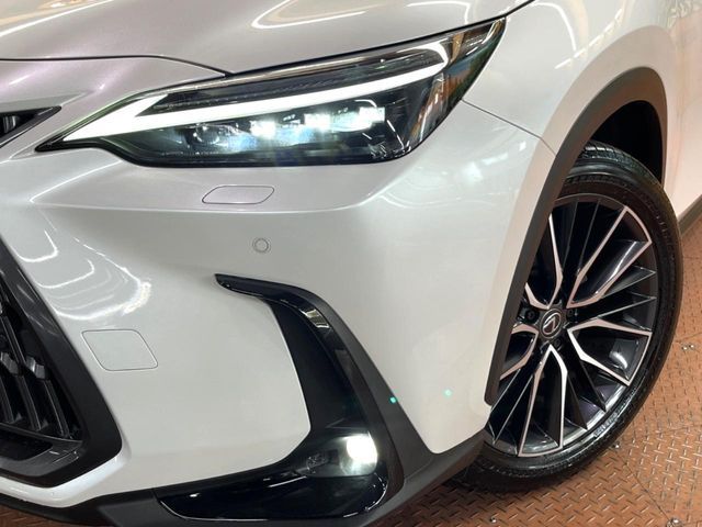 TOYOTA LEXUS NX350H 2023 Image 31