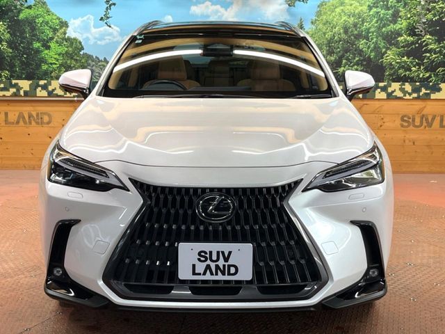 TOYOTA LEXUS NX350H 2023 Image 31