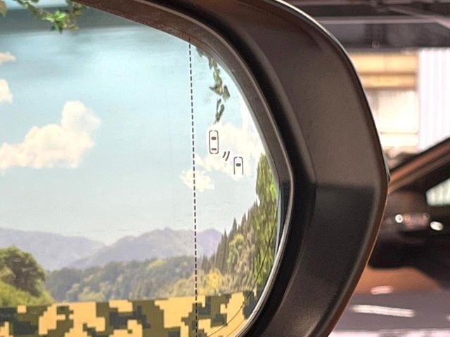 TOYOTA LEXUS NX300 AWD 2019 Image 31