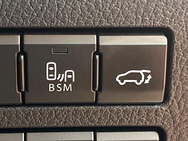 TOYOTA LEXUS NX300 AWD 2019 Image 31