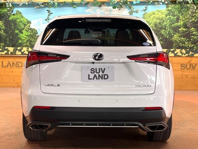 TOYOTA LEXUS NX300 AWD 2019 Image 31
