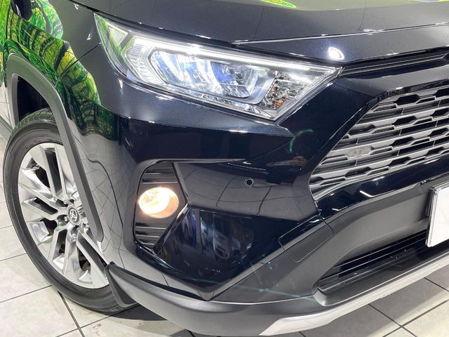TOYOTA RAV4 4WD 2019 Image 31
