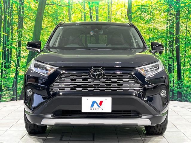 TOYOTA RAV4 4WD 2019 Image 31