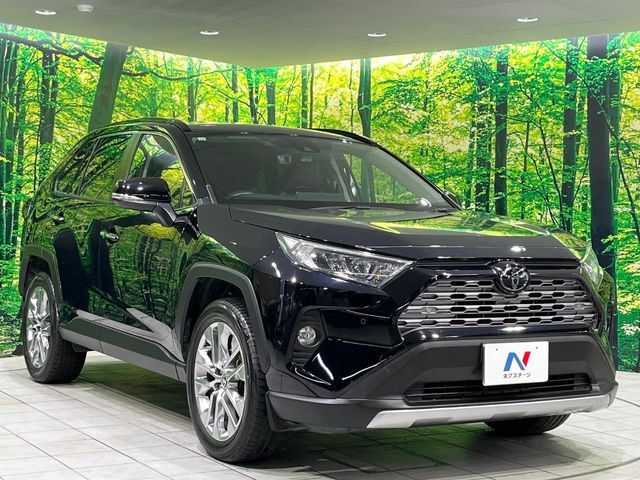 TOYOTA RAV4 4WD 2019 Image 31
