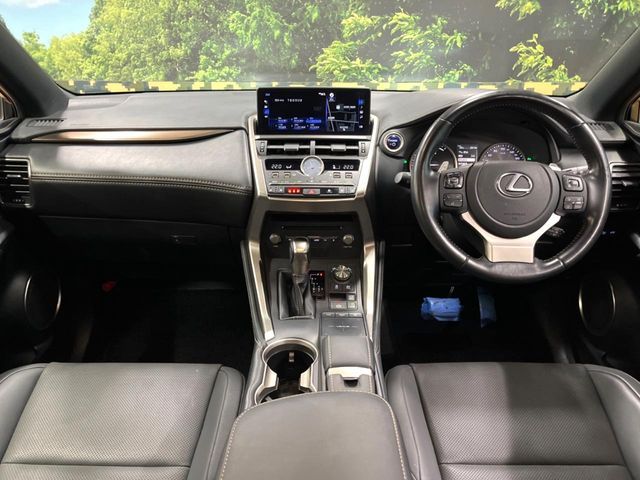 TOYOTA LEXUS NX300H 2021 Image 31