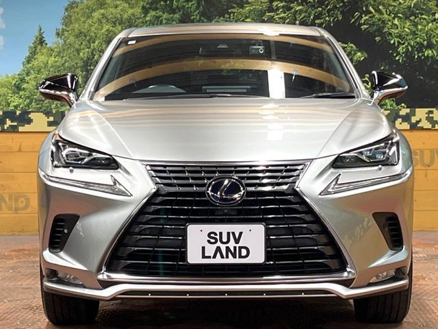 TOYOTA LEXUS NX300H 2021 Image 31