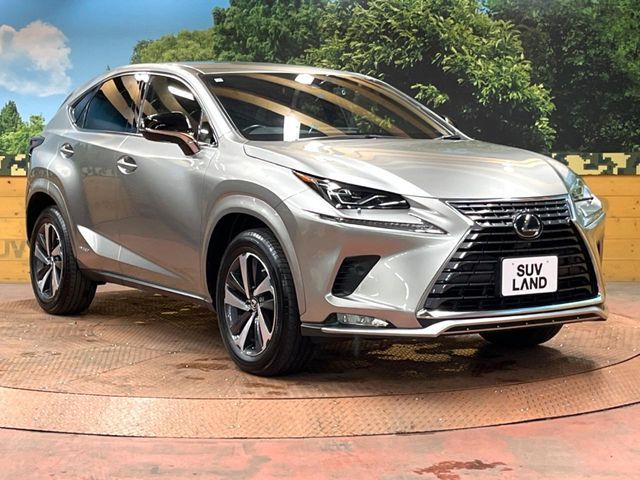 TOYOTA LEXUS NX300H 2021 Image 31