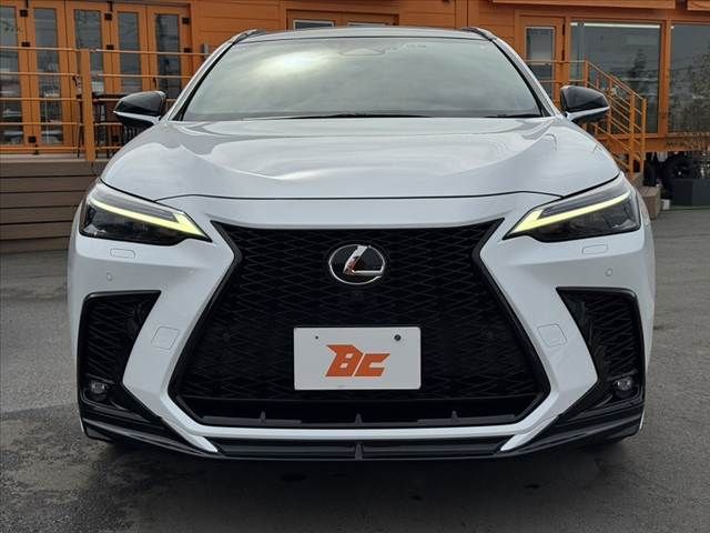 TOYOTA LEXUS NX350 AWD 2022 Image 31