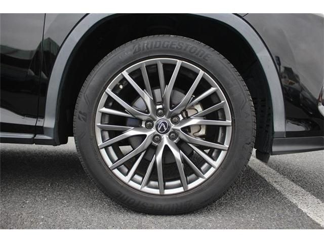 TOYOTA LEXUS RX300 AWD 2020 Image 31