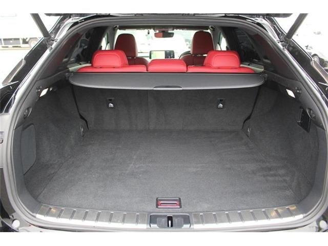 TOYOTA LEXUS RX300 AWD 2020 Image 31