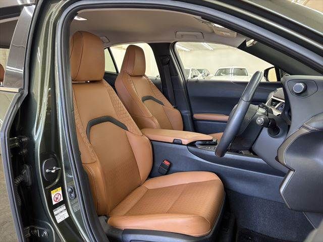 TOYOTA LEXUS UX250H 2019 Image 31