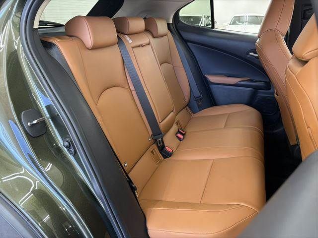 TOYOTA LEXUS UX250H 2019 Image 31