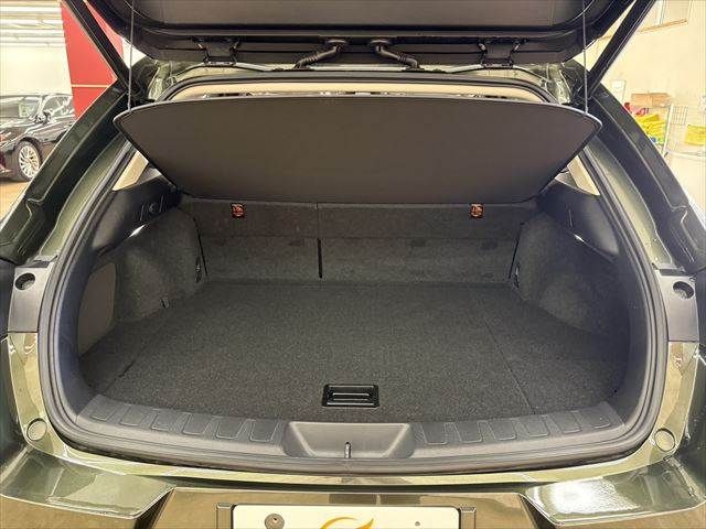 TOYOTA LEXUS UX250H 2019 Image 31