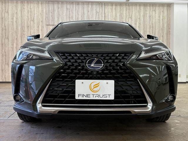 TOYOTA LEXUS UX250H 2019 Image 31