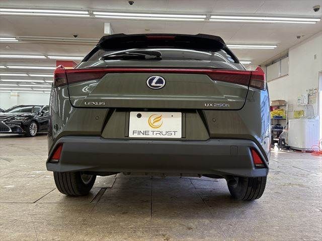 TOYOTA LEXUS UX250H 2019 Image 31