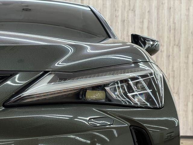 TOYOTA LEXUS UX250H 2019 Image 31