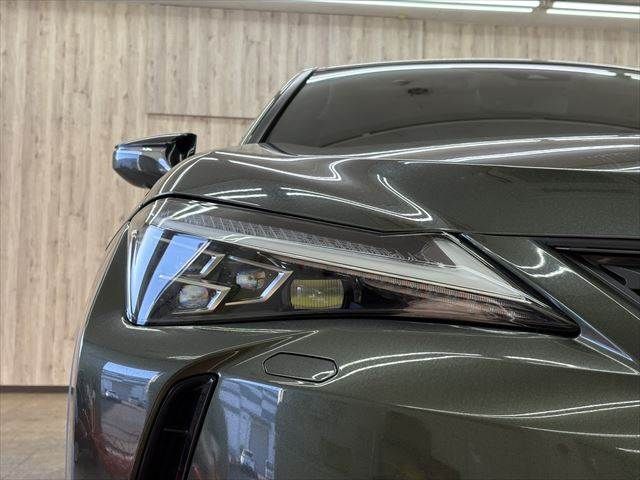 TOYOTA LEXUS UX250H 2019 Image 31