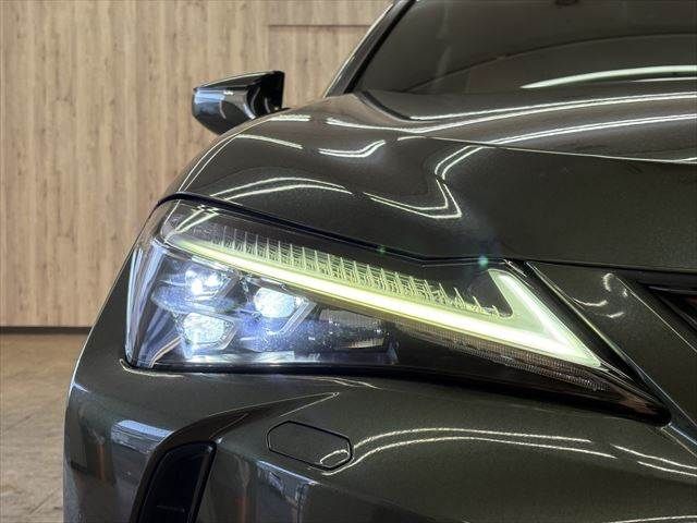 TOYOTA LEXUS UX250H 2019 Image 31