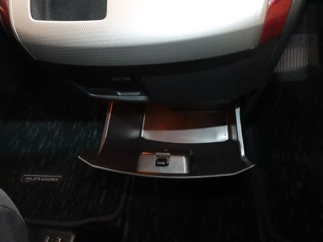 TOYOTA ALPHARD 2009 Image 31