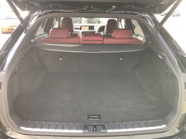 TOYOTA LEXUS RX450H AWD 2017 Image 31