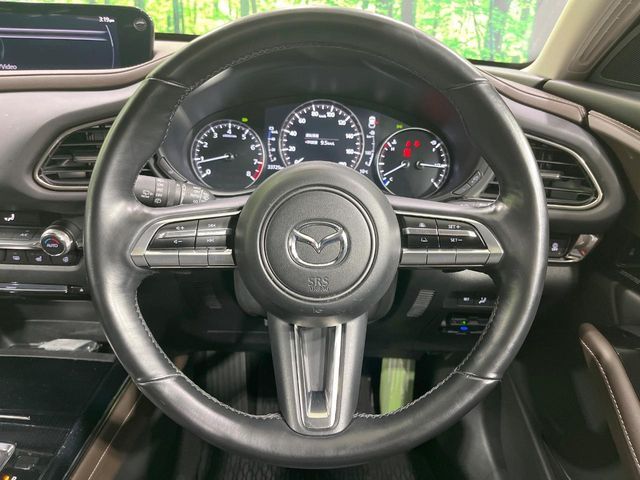 MAZDA CX-30 2023 Image 31