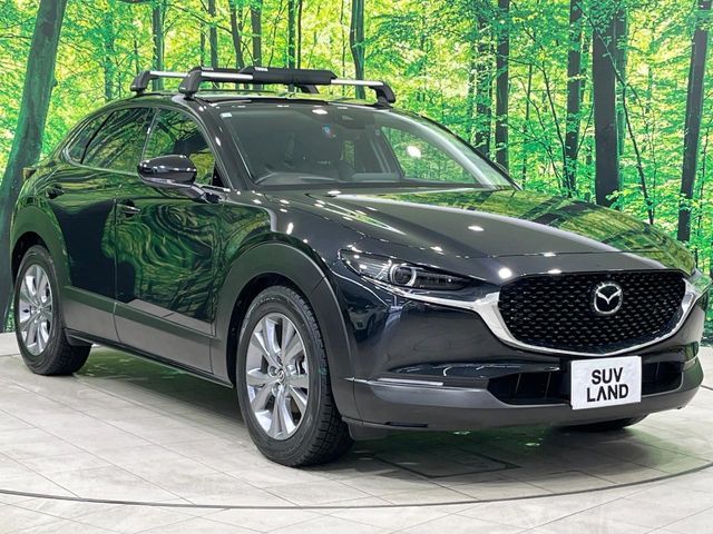 MAZDA CX-30 2023 Image 31