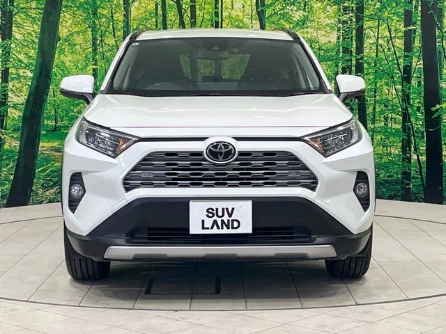 TOYOTA RAV4 4WD 2019 Image 31