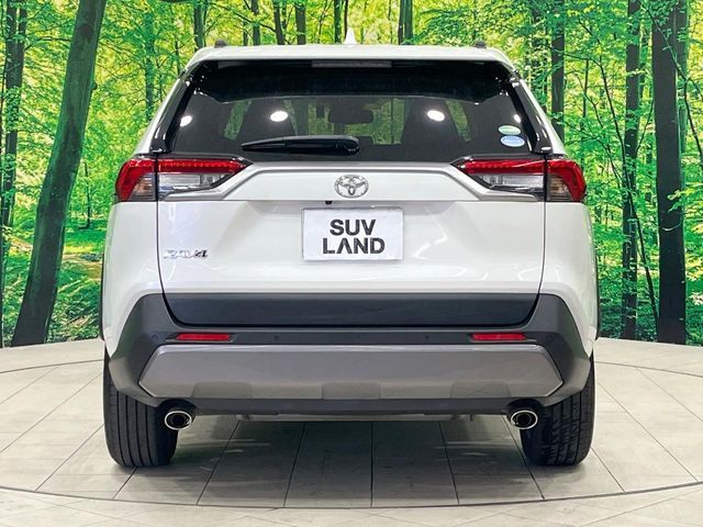 TOYOTA RAV4 4WD 2019 Image 31