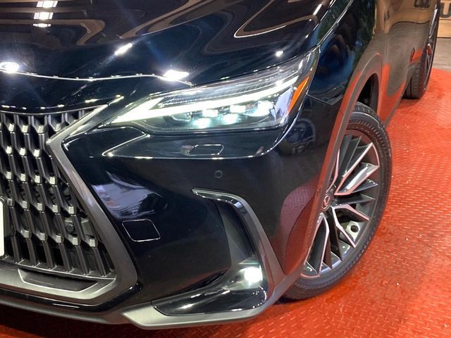 TOYOTA LEXUS NX350H 2023 Image 31