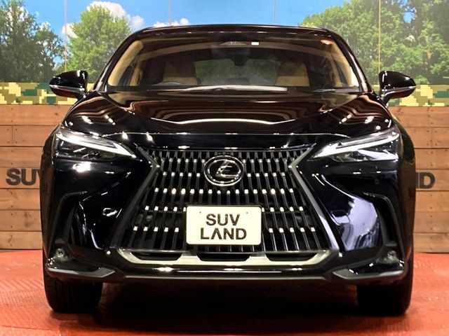 TOYOTA LEXUS NX350H 2023 Image 31