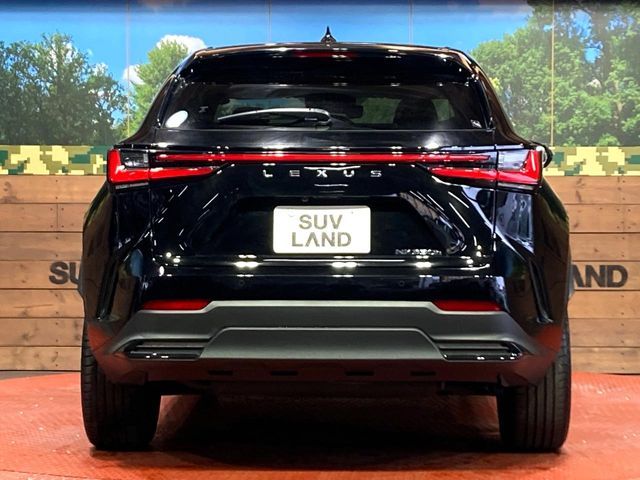 TOYOTA LEXUS NX350H 2023 Image 31