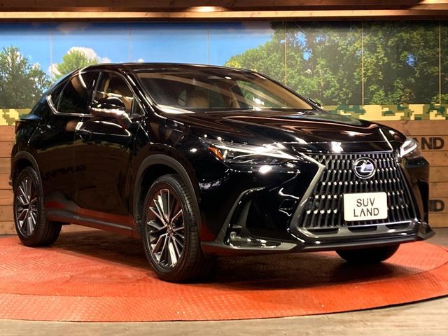 TOYOTA LEXUS NX350H 2023 Image 31