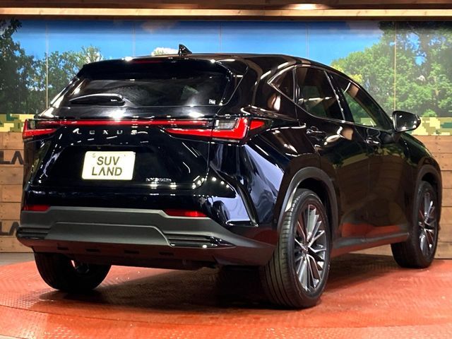 TOYOTA LEXUS NX350H 2023 Image 31