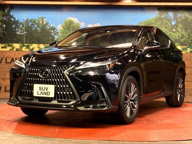 TOYOTA LEXUS NX350H 2023 Image 31